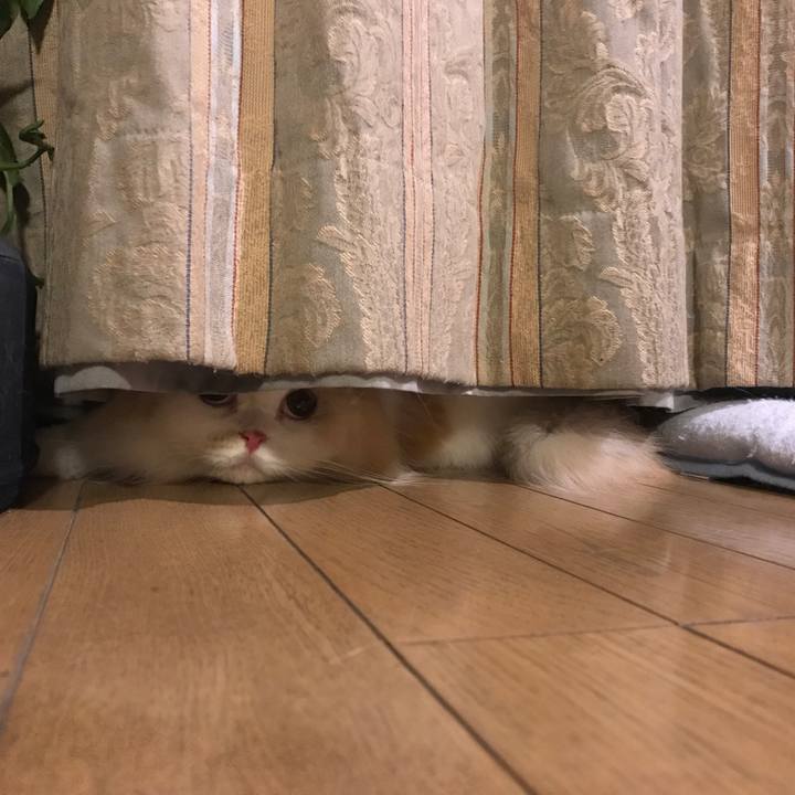 92ecedf6 9c1b 4854 b32a 51b22ef63b3f