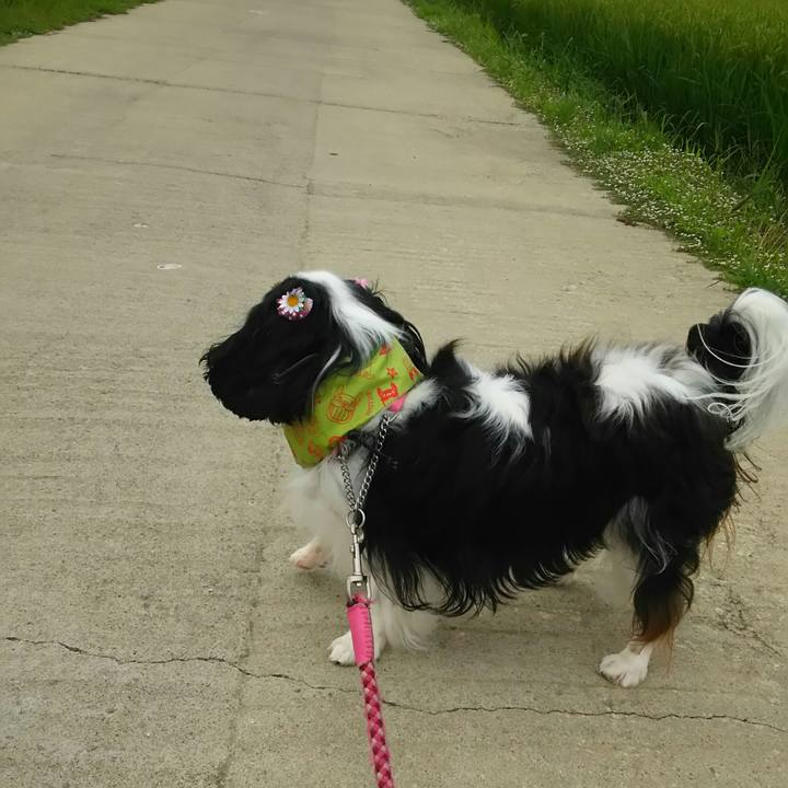 92ed3386 66c3 47e6 9f48 3059d3163ba8