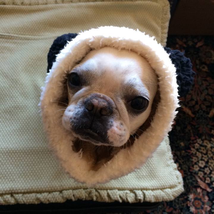 92ed5523 36f3 44f4 86d5 275085a1bee6