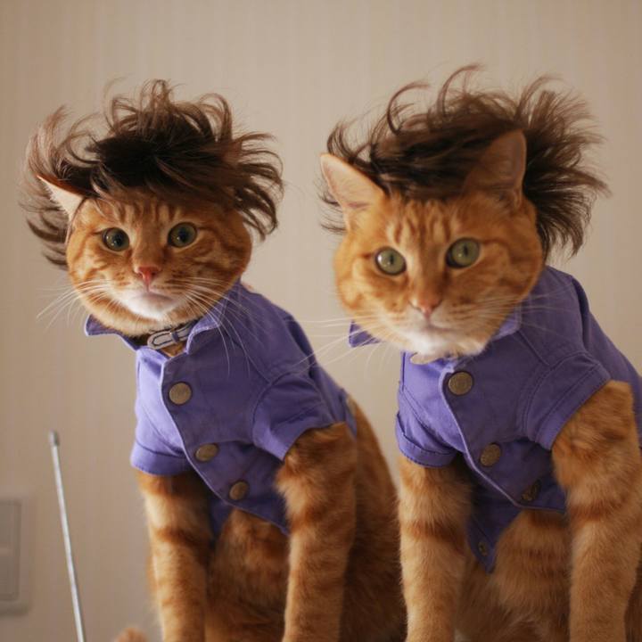 92edc323 9e11 4cb4 b451 0d9f24ea9d1f