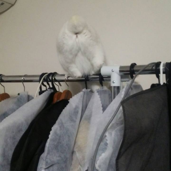 92ee84f0 1a30 4d4f ad0c 4fcf581213cb