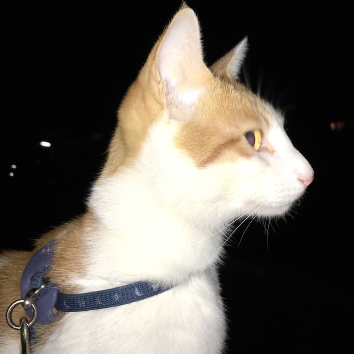 92eefcb6 8966 4466 be79 bb909edb6969