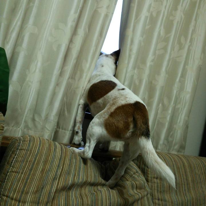 92ef29c7 f75d 4623 9bfe 6e418df7008c