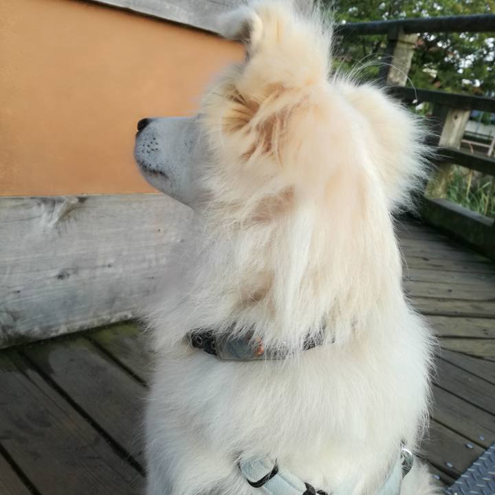 92ef322f c561 497a acca 4e72cf86d8a9