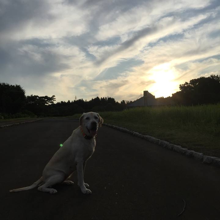 92ef627a a734 461d a5aa aae7fb0d2d22