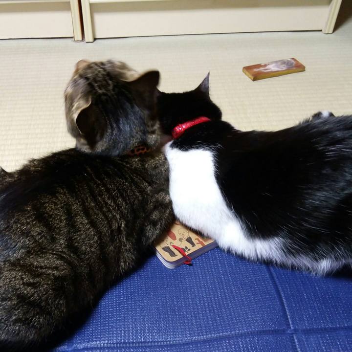 92efec44 0353 4d17 b8f9 cce9cb594f52