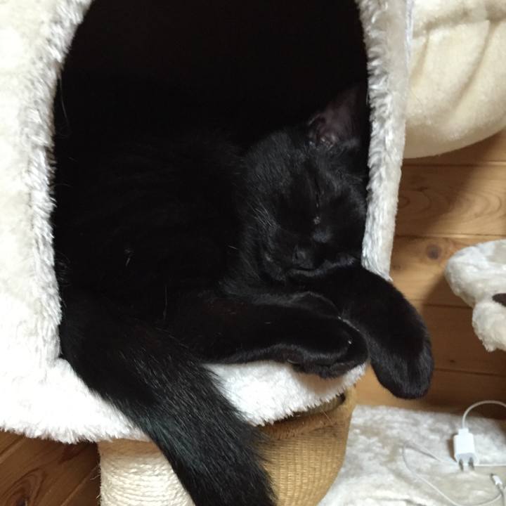 92f03af7 e06b 4a8b be08 796c419f1012