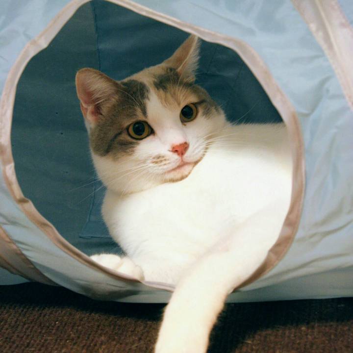 92f049ec 2ef9 4e72 93d5 12931e9ef57f