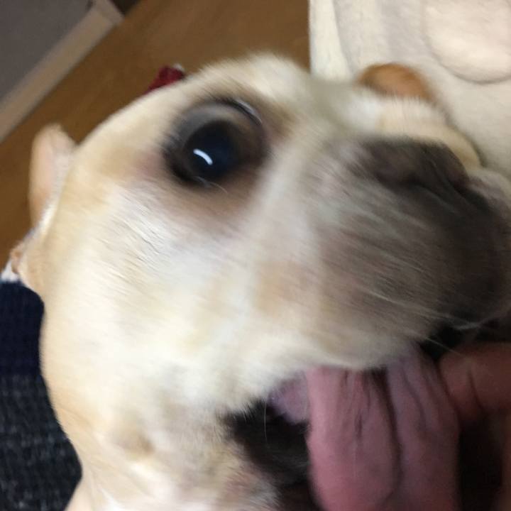 92f0f7c4 4bf3 4a03 b282 1eff7b094477