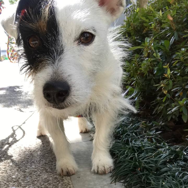 92f1350a 2639 486b a70a e32be73ccea9