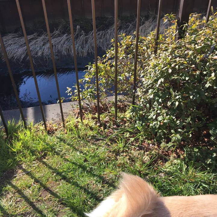 92f14e42 d216 476f 910e e11247861b85