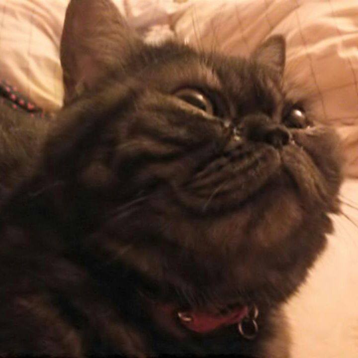 92f187ad 965f 4a6b 9839 3d64b5dd6039