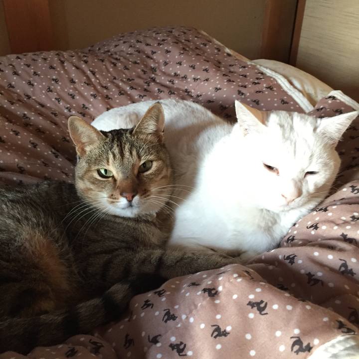 92f21d36 123c 4a54 8fa3 f74499b4b627