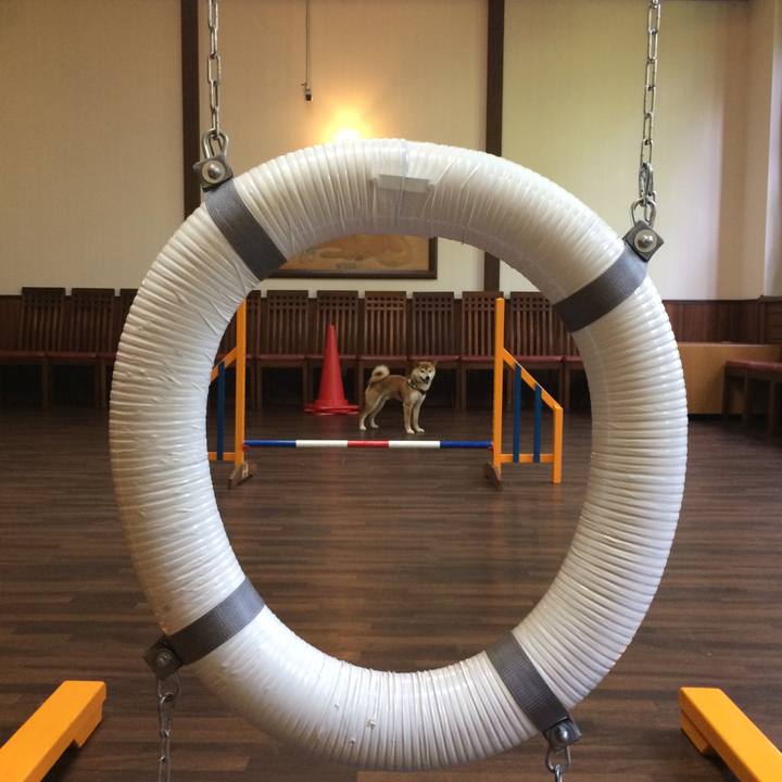 92f22445 f988 421c 8232 450806d69348