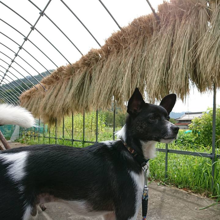 92f27032 eec7 427b 90eb 289aa179e793