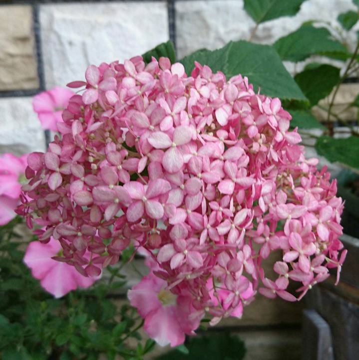 92f27688 b167 4418 bd86 5ed97d7a9e6e