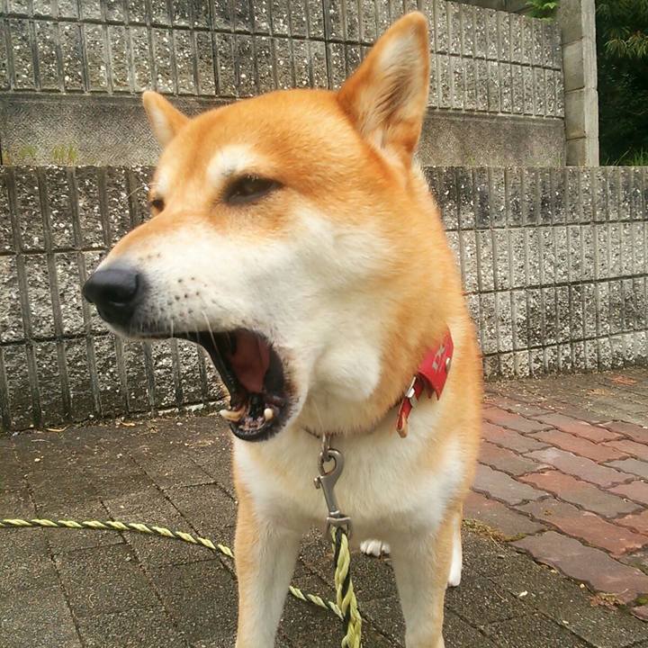 92f278c0 44cc 4c6a 9023 3923b8d6543e