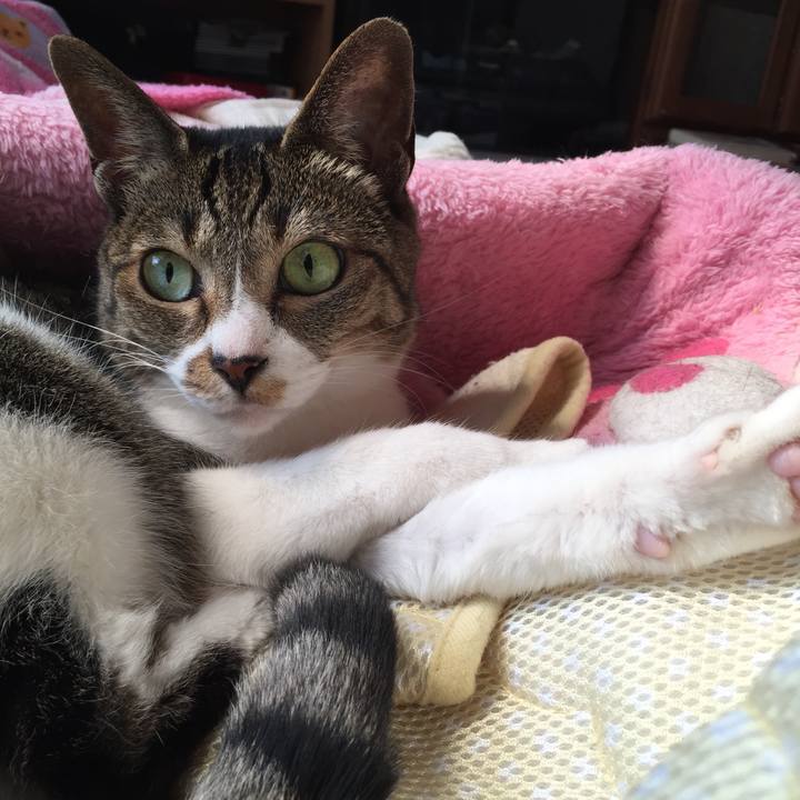 92f291b7 43b4 4999 9fc8 05caf63c1c78