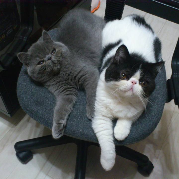 92f3a1e5 3be7 4847 b250 6c7ccfb06806