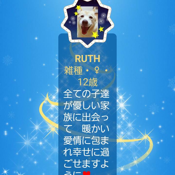 92f44143 cd4c 4440 89fe 0381fa228c9c