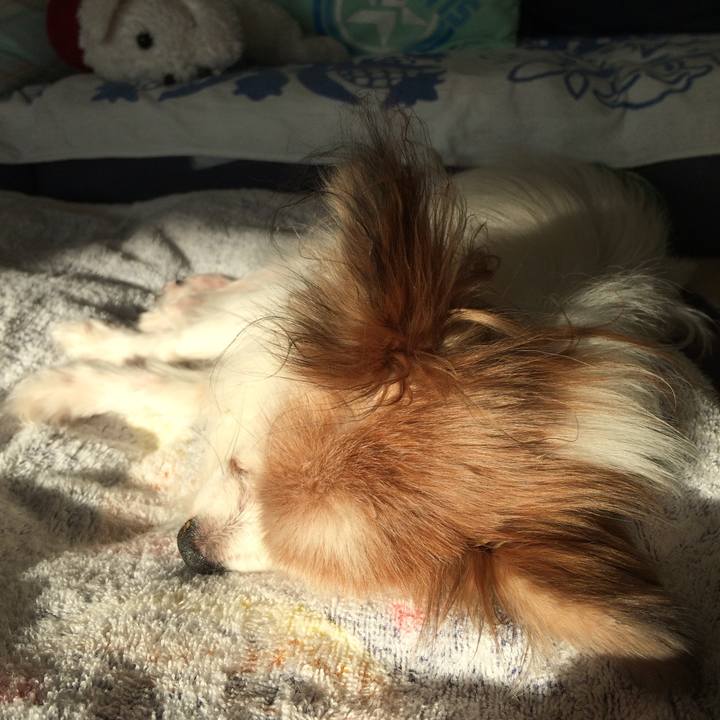 92f46b8c f446 4721 85fa 2db736567085