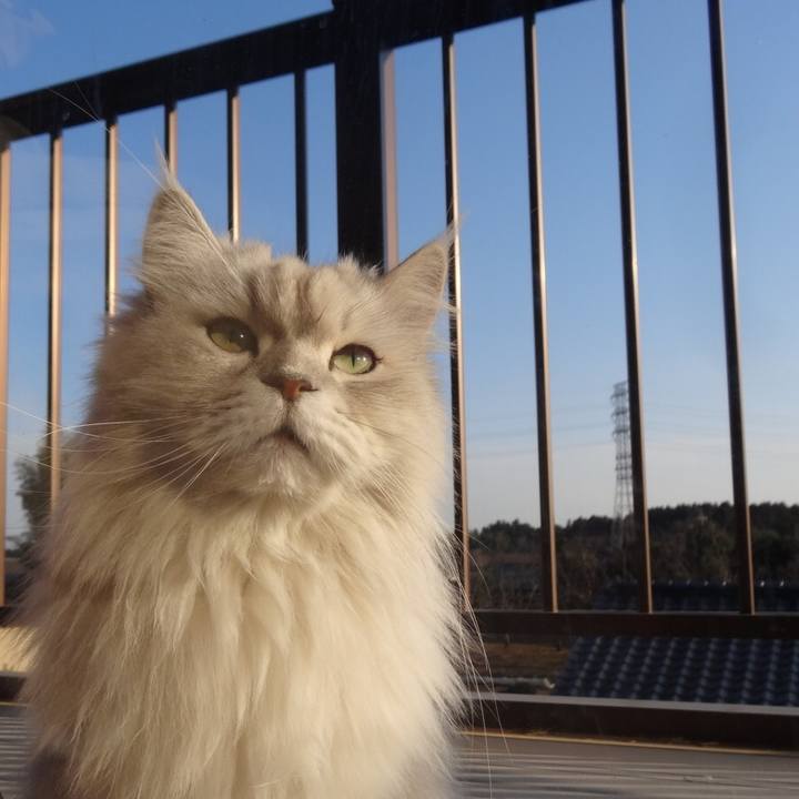 92f46f3f 31e5 43ca 80fa fa5565602b8d