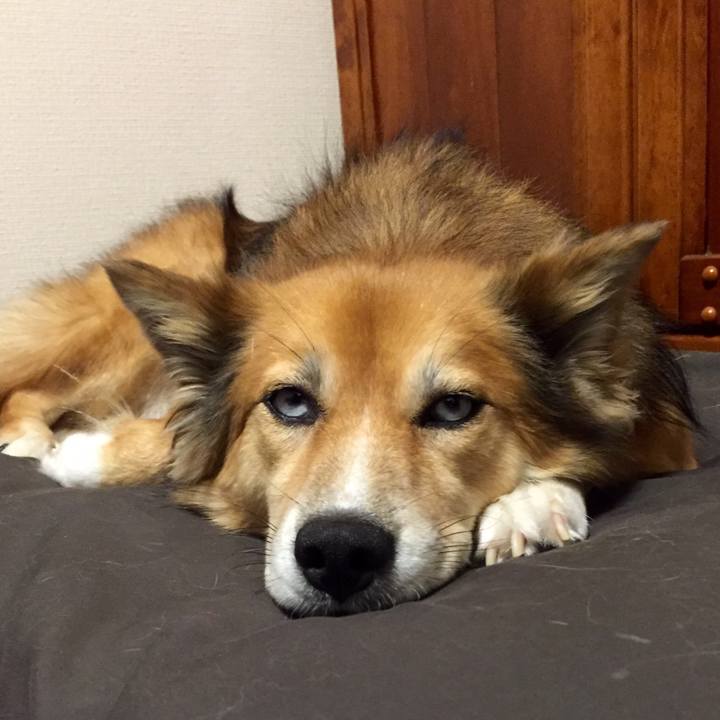 92f48f6d 3186 4faf 912e d49d106c8f7a