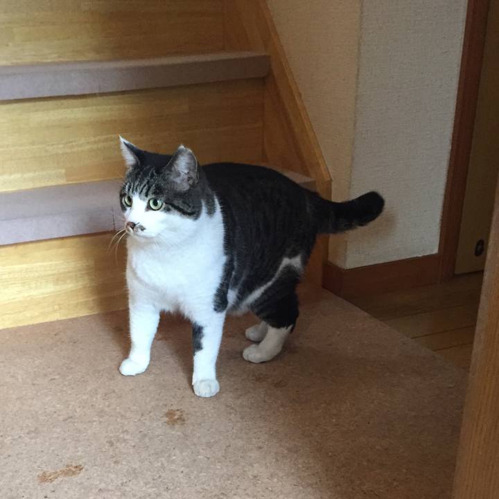 92f49d3b 7372 4b3c 8629 4238b9d5b604