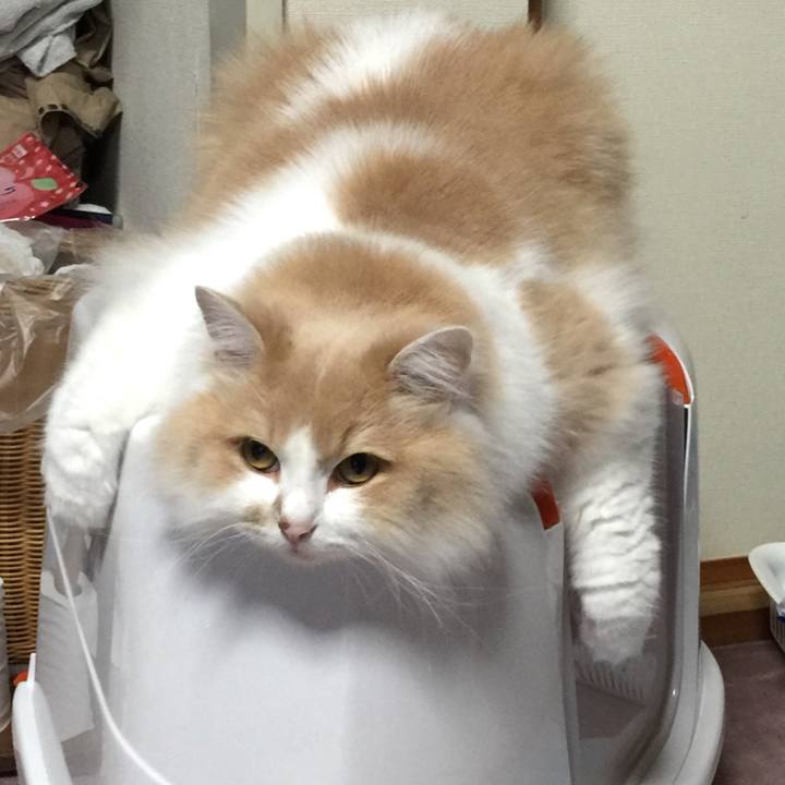 92f51888 598b 4acf ba53 8f76ee44908e