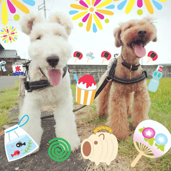 92f5ee32 8d01 473b 925c 849da09353ea