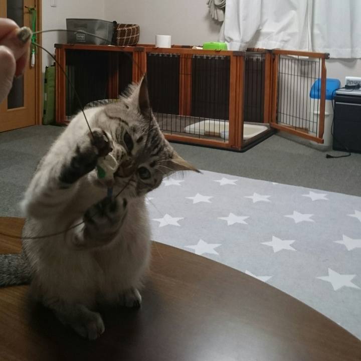 92f64936 d9b9 4511 b8b9 16af88e44040