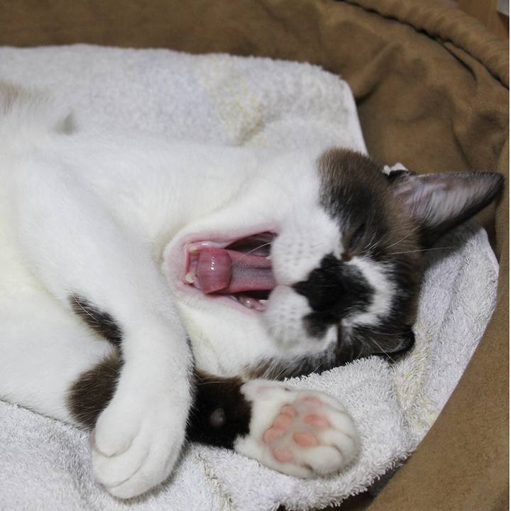 92f67162 c6be 4a6d a1d2 3d1d2051d750