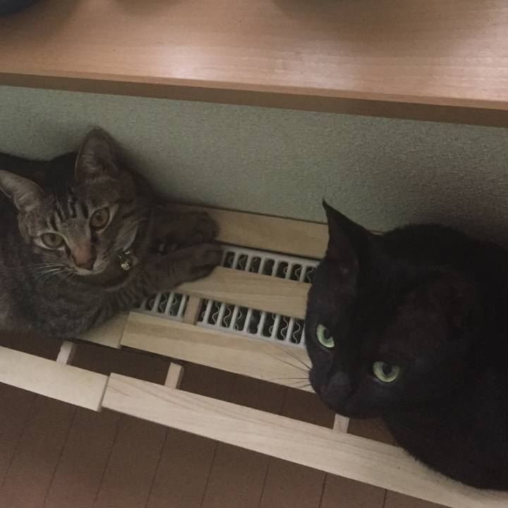 92f6785e a5b6 41b6 bc22 948b571fcc8c