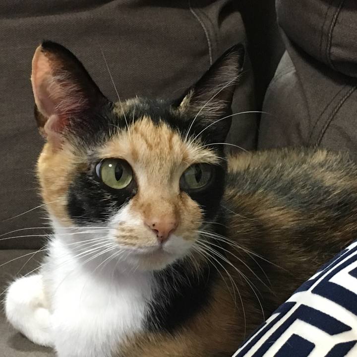 92f69423 453d 4d73 ab6d b242fe935880