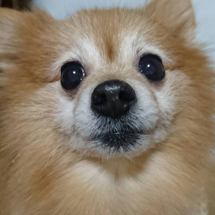 92f69b52 32e8 413c b9d0 25fd84789664