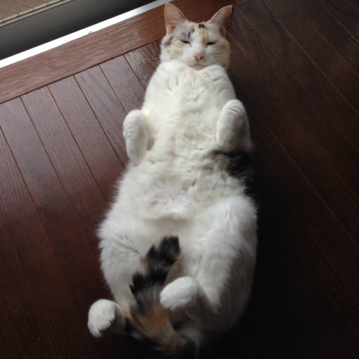 92f6b589 b203 4750 b360 d28aec45d2ab