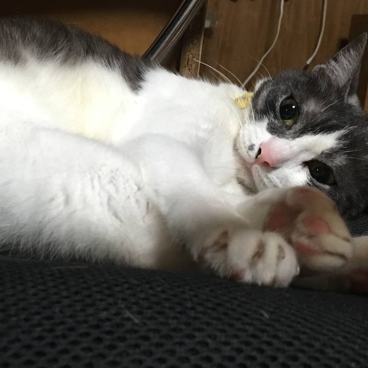 92f8d218 37cd 40ca 9a9b 4ab143908ef1