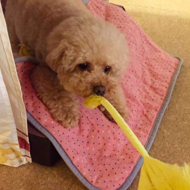 92f9432c 4ee7 4d92 9e86 2cccb29c7235