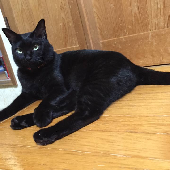 92f95b84 68b6 49a0 9e68 1cdfbdec9914