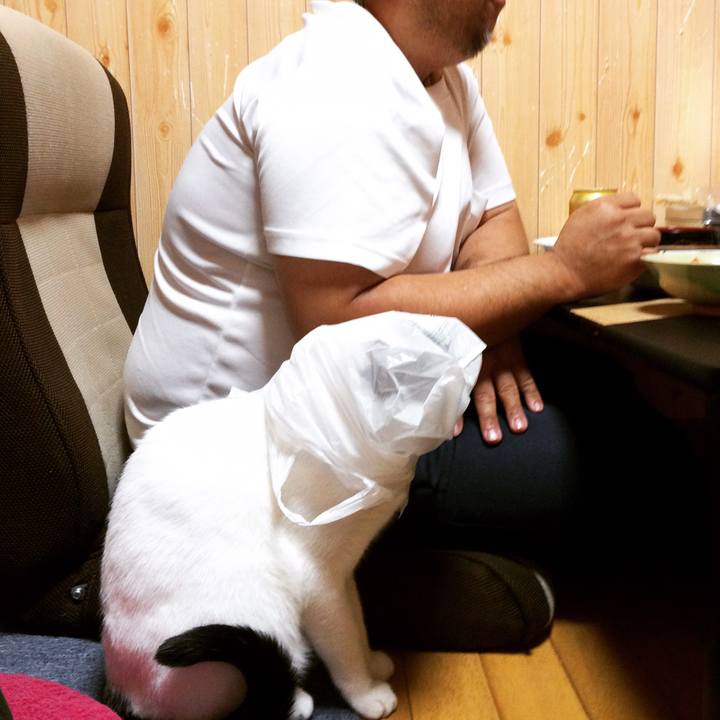 92f995c6 6cbf 43f1 a889 07207fcd8e9b