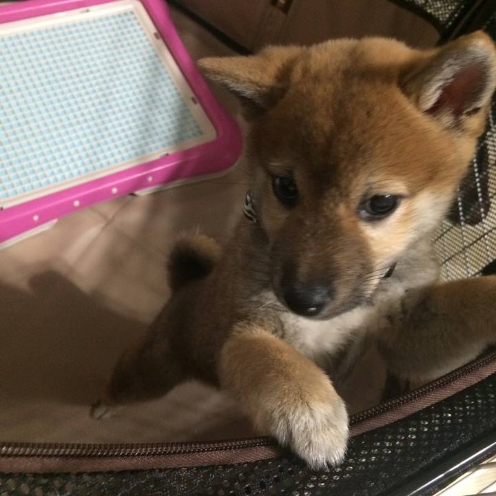 92fa0d10 862f 4273 bed6 ebcd5bd07d8c