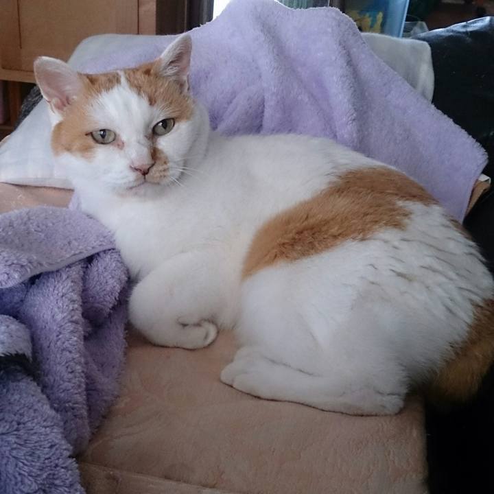 92fa2916 8523 414e 8144 5f93655dfb04