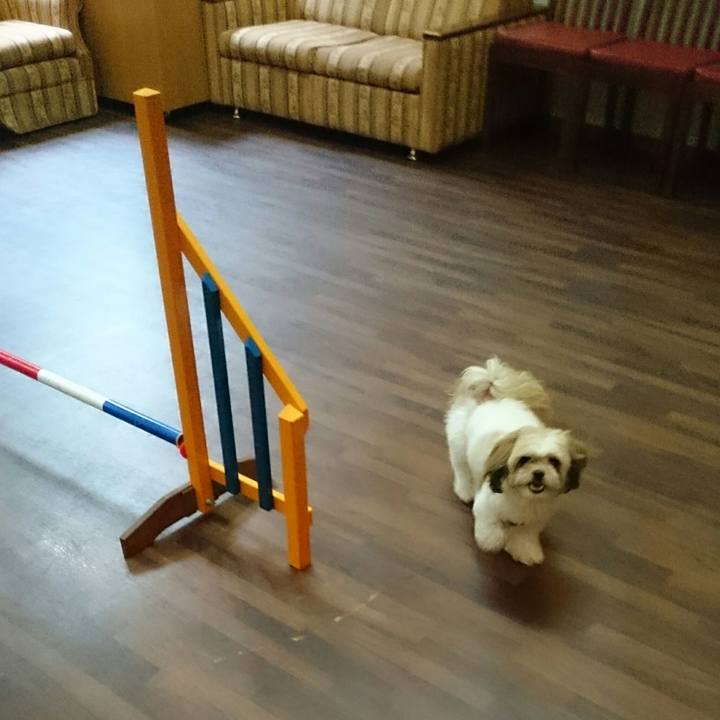 92fa34e8 e49b 40ab bdde a358a29571b6