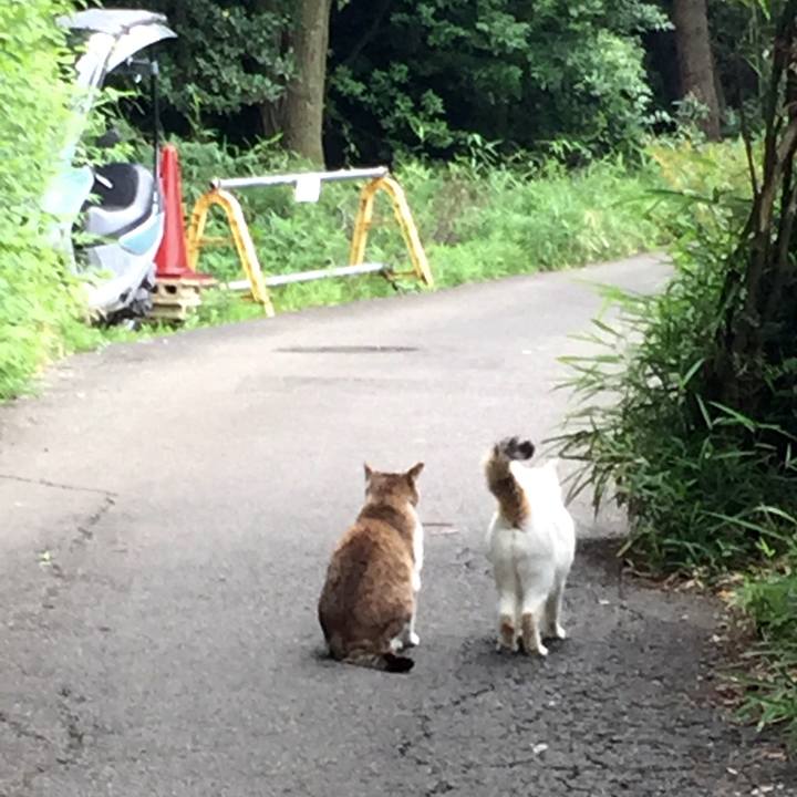 92fa4054 20d5 40b2 a2b5 168d3e239295