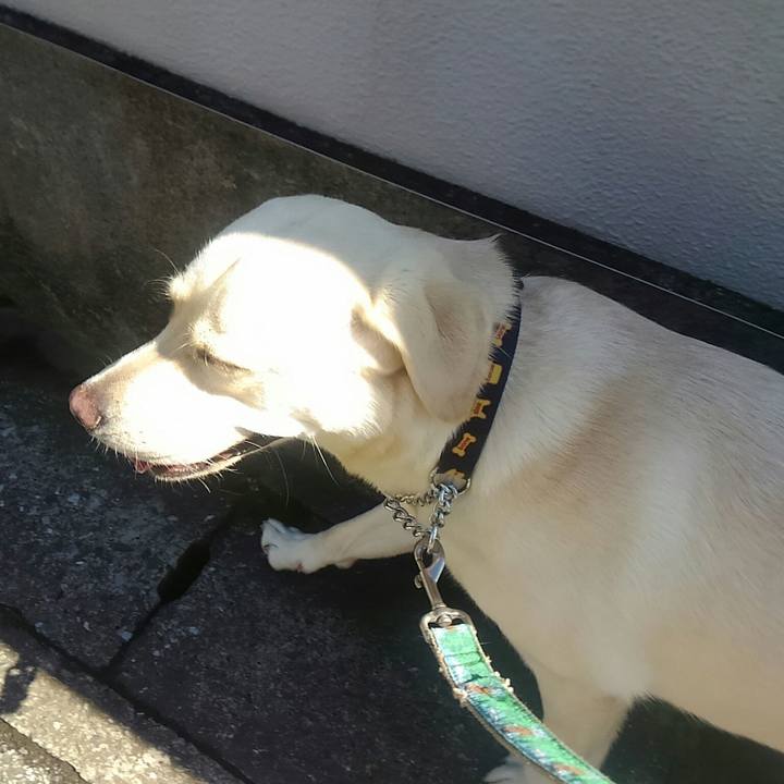 92fa9135 8938 4d51 9f84 fbd2e97ea98b