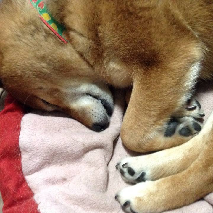 92fb11e1 b529 4877 87ab df4f49b06922