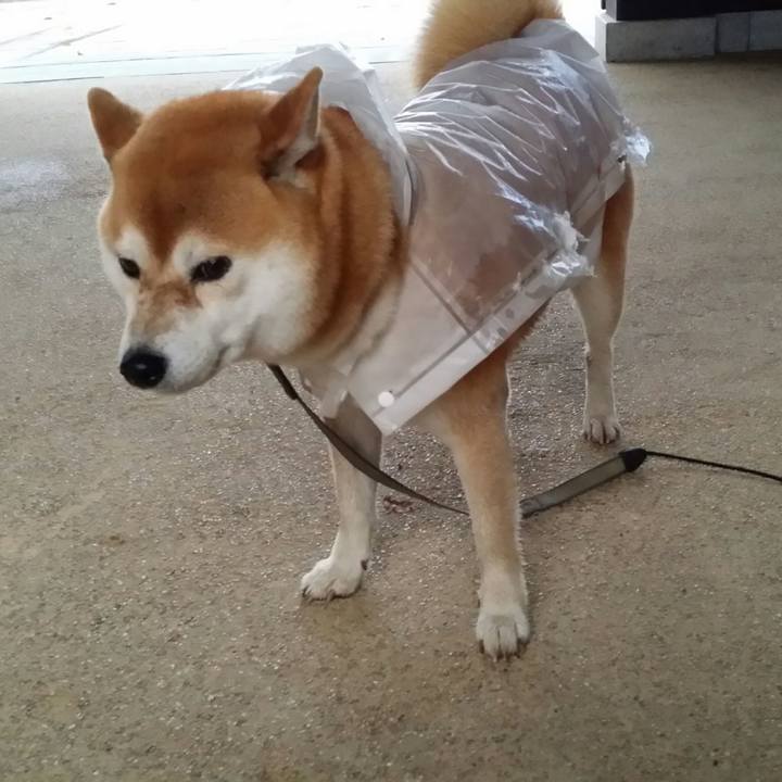 92fb637d b5d9 4317 b46d e2e71c3aec95