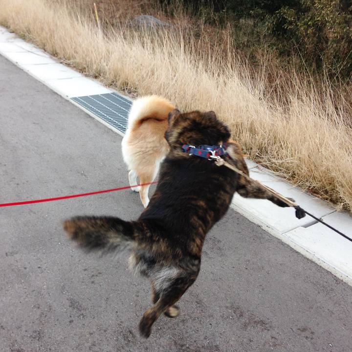 92fbcaf4 0756 4936 bcfb 7a0fa2b4e4ea