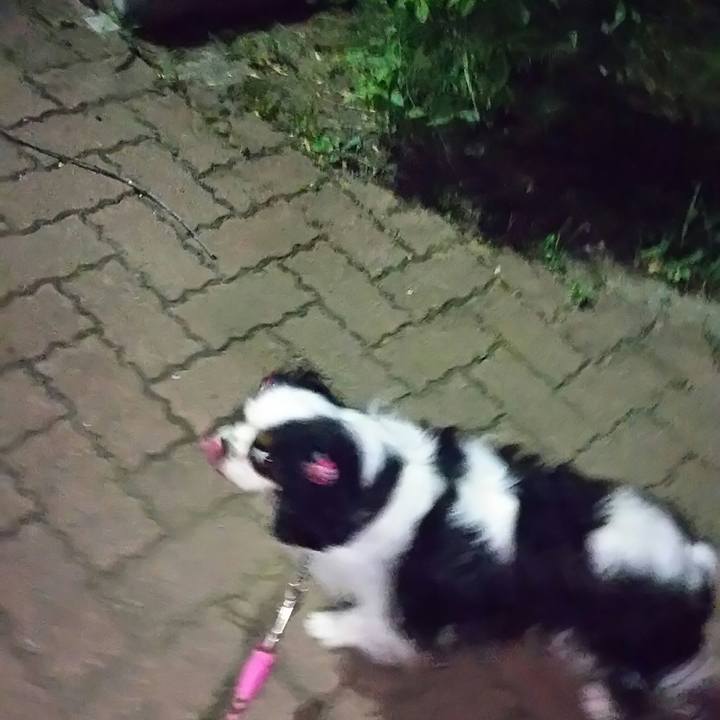 92fbfe82 bb15 4cd8 8180 14eef09c44d6