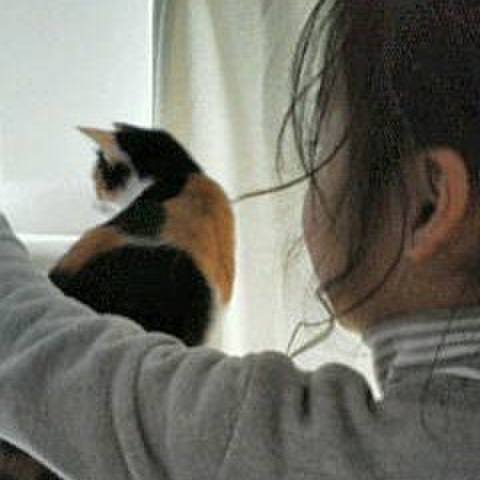 92fc1b2e 1dc9 4681 998f 0acf0c8dc086